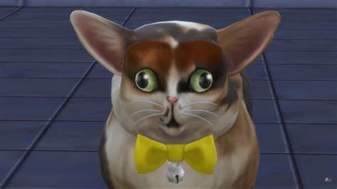 there was supposed to be a picture of spleens the cat here